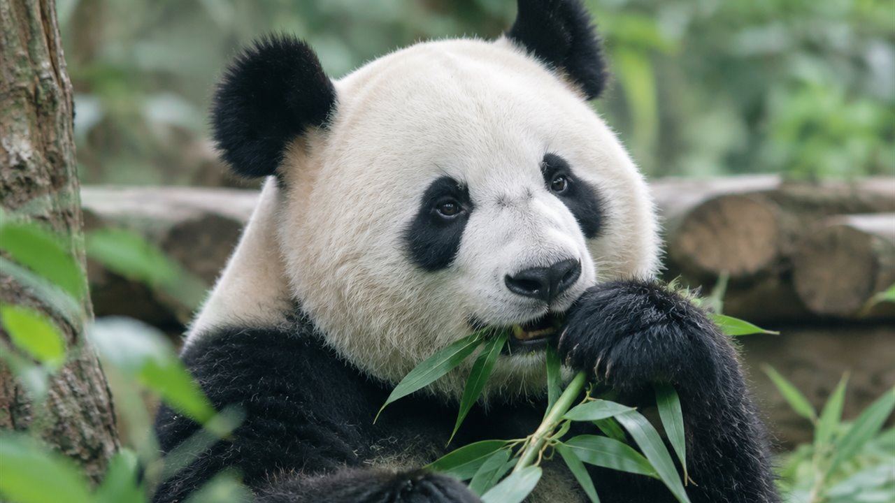 China with kids: what works and what doesn't